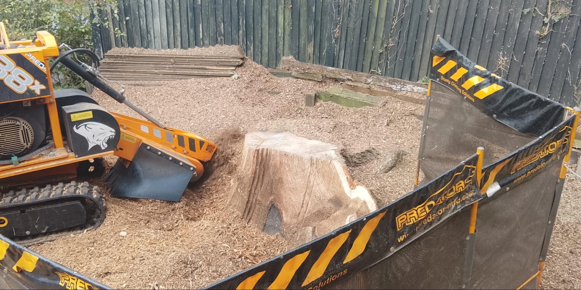 Stump Grinder Grinding Tree Stump Bexleyheath
